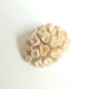 Corail Blanc