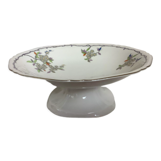 Ancien plat coupe pied douche gypsophile, fleurs blanches