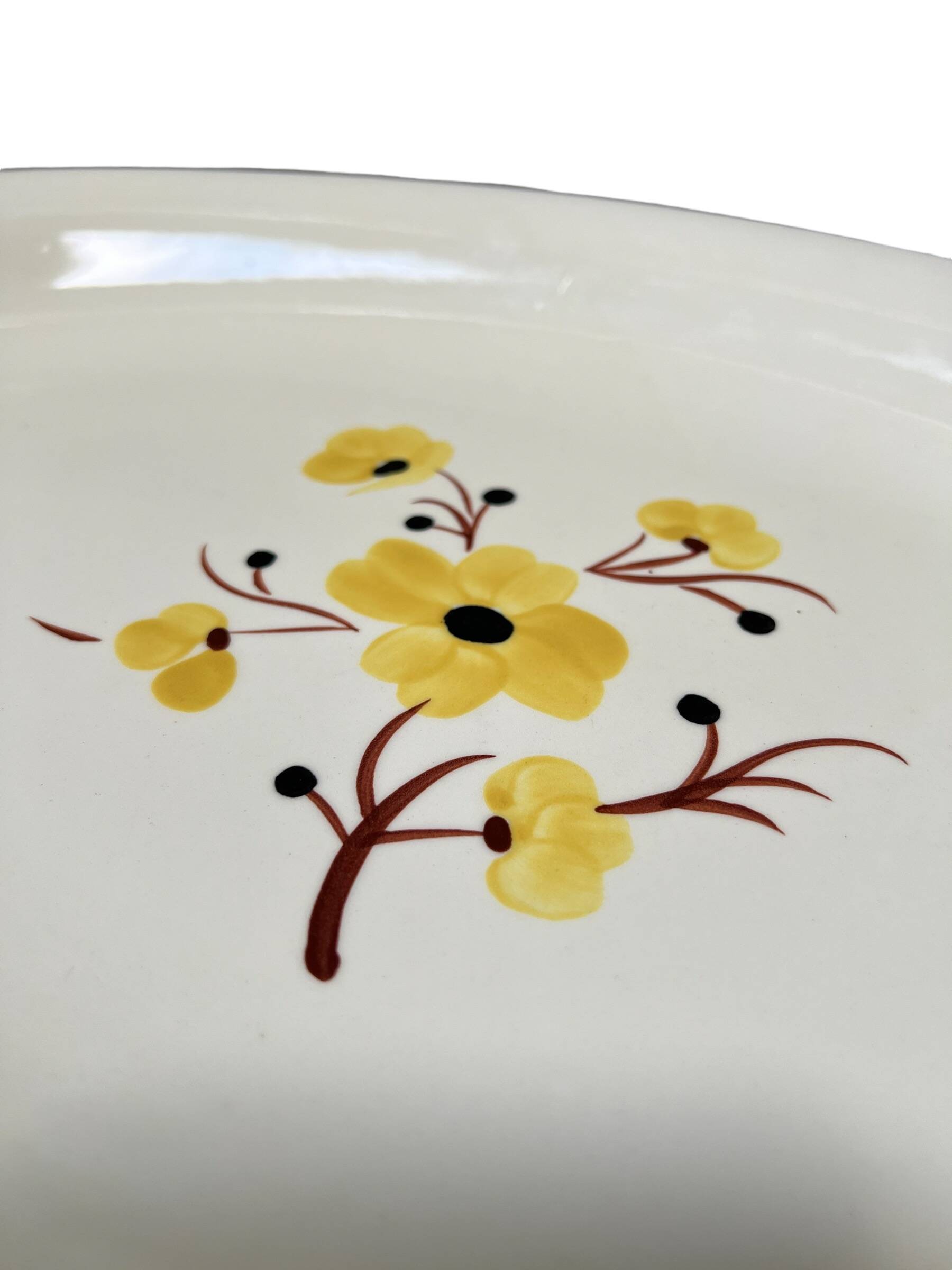 Salins earthenware dish