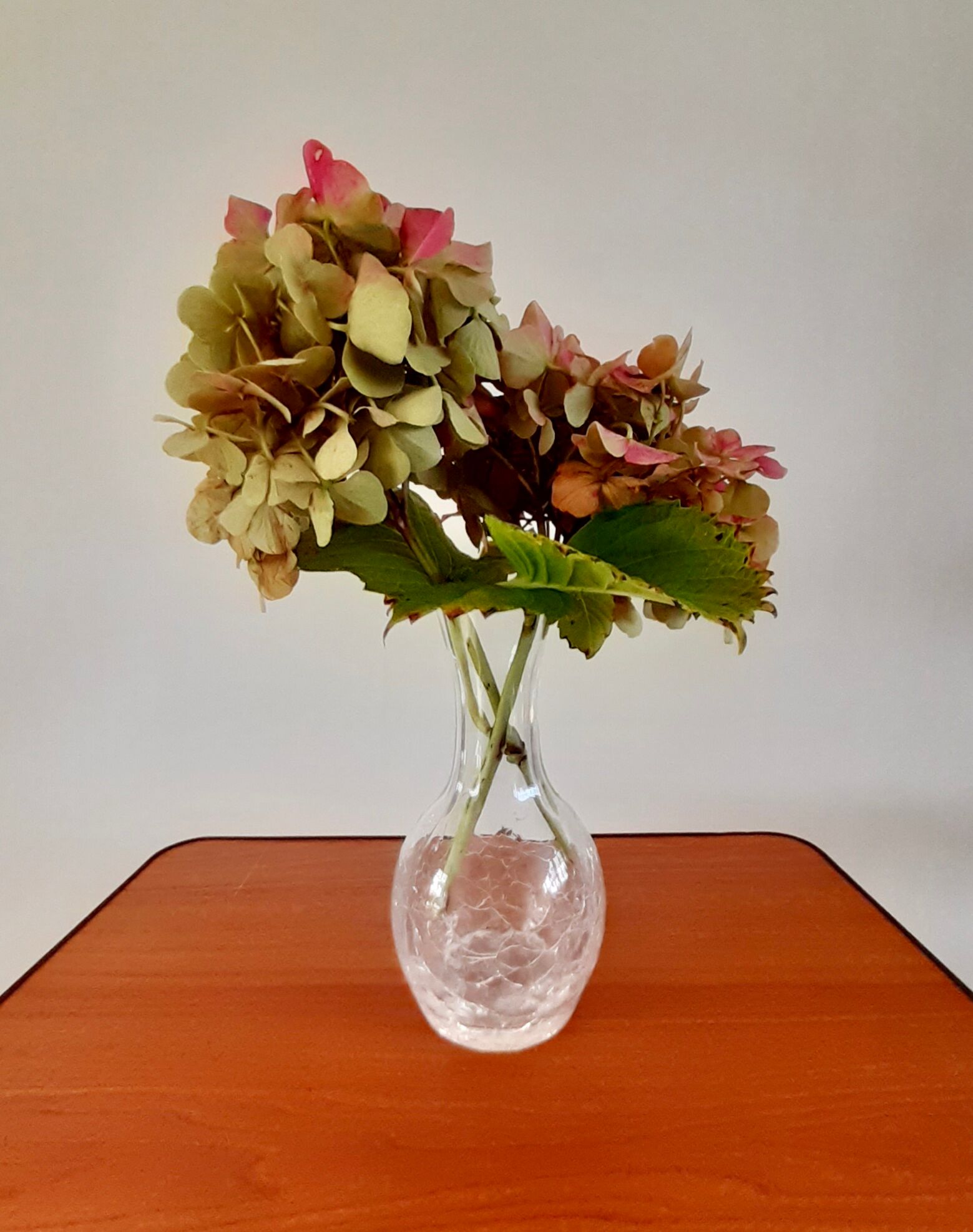 Vase craquelé