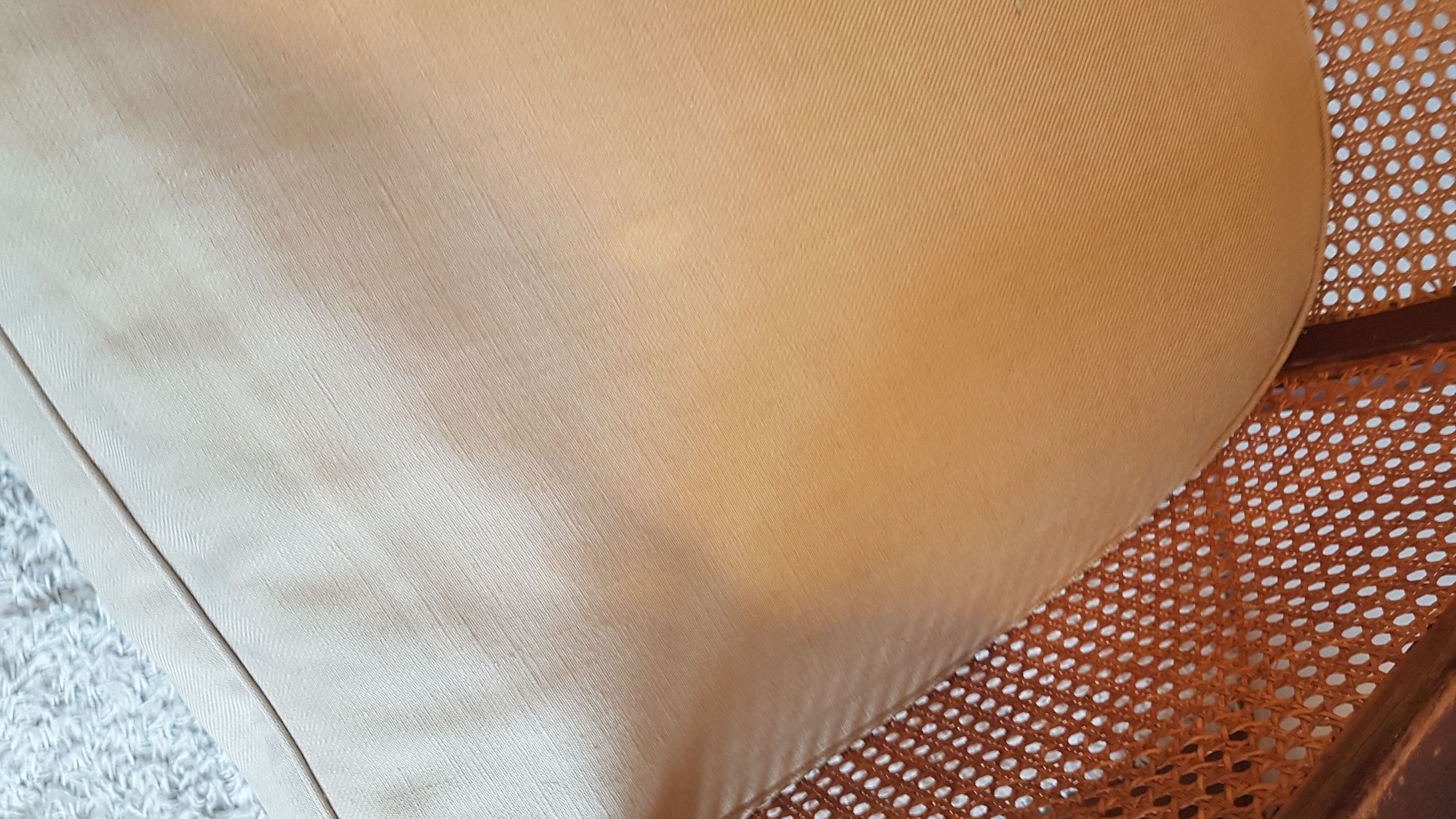 Steiner canna armchair