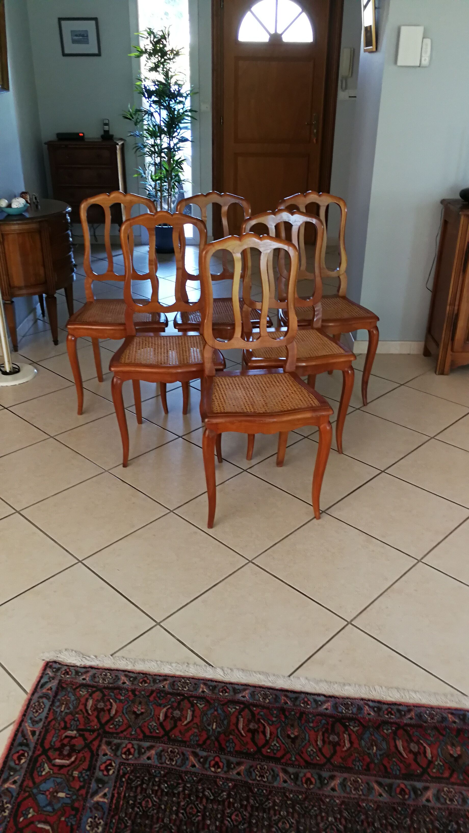 Serie de 6 chaises