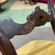 Set of 6 19th century English chairs in walnut
