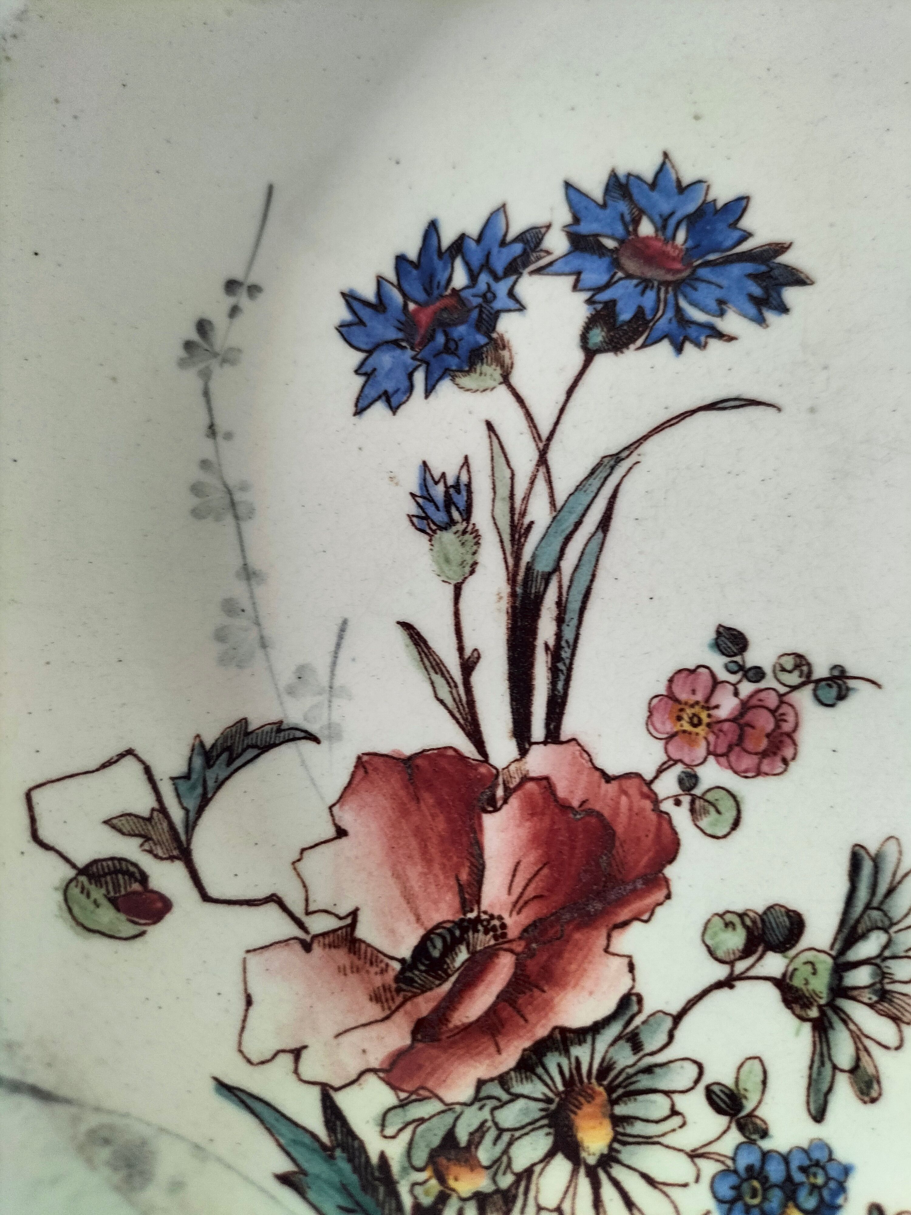 Assiette creuse Terre de Fer HB & Cie décor fleurs des champs 1900-1910