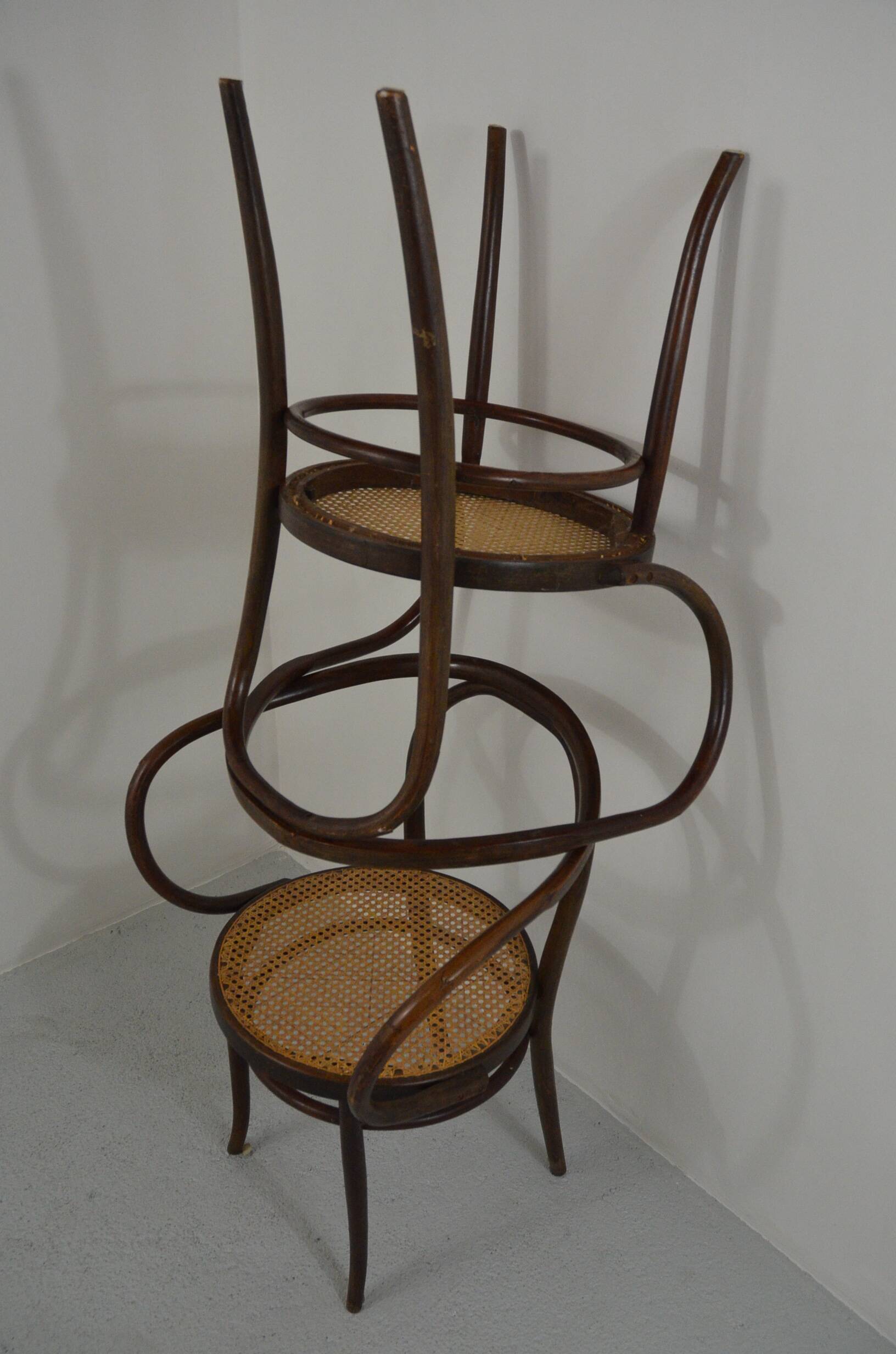 Pair of Thonet armchairs mod. 209 known as Le Corbusier