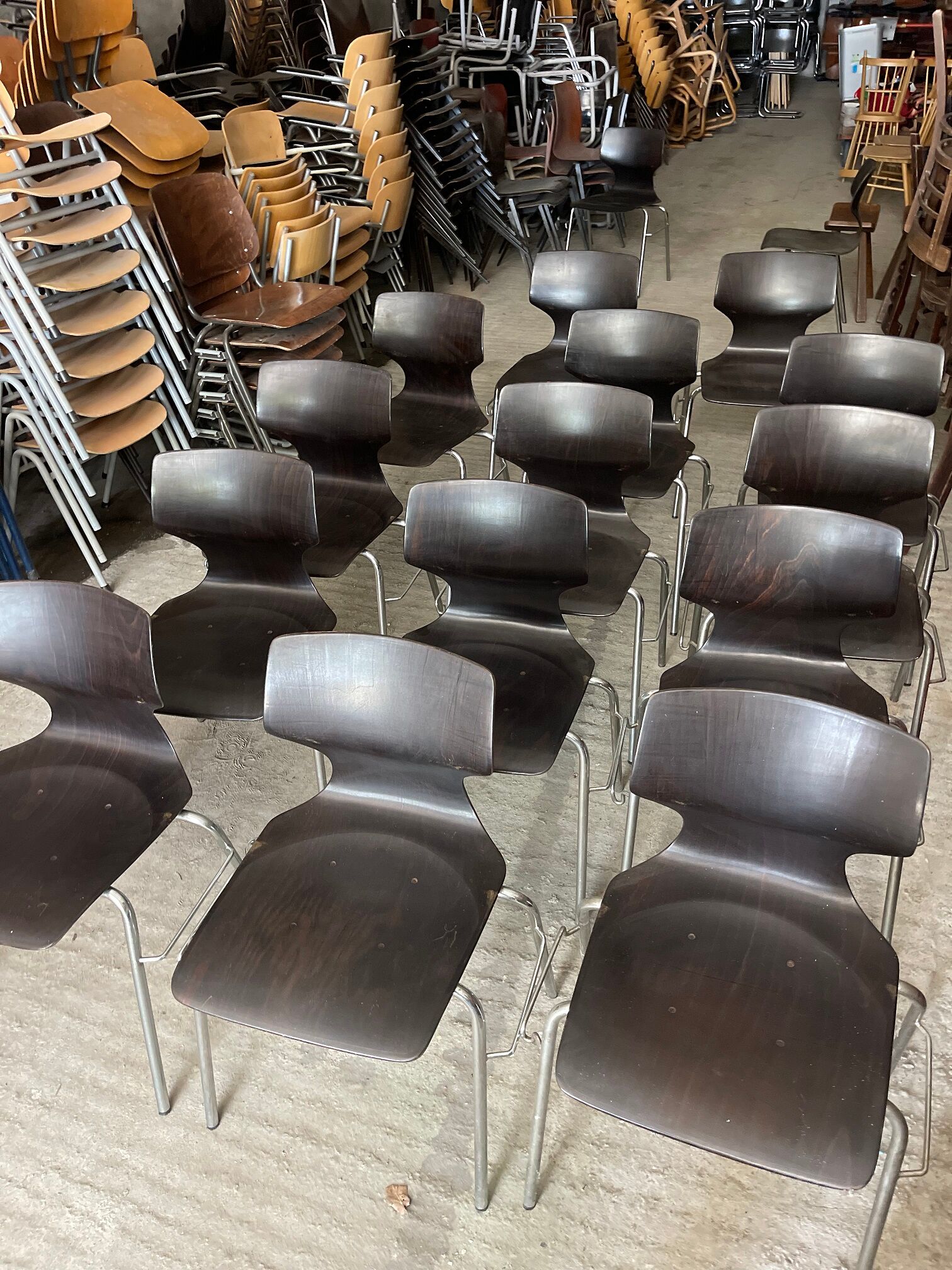 Set of 14 ebony Flötotto chairs