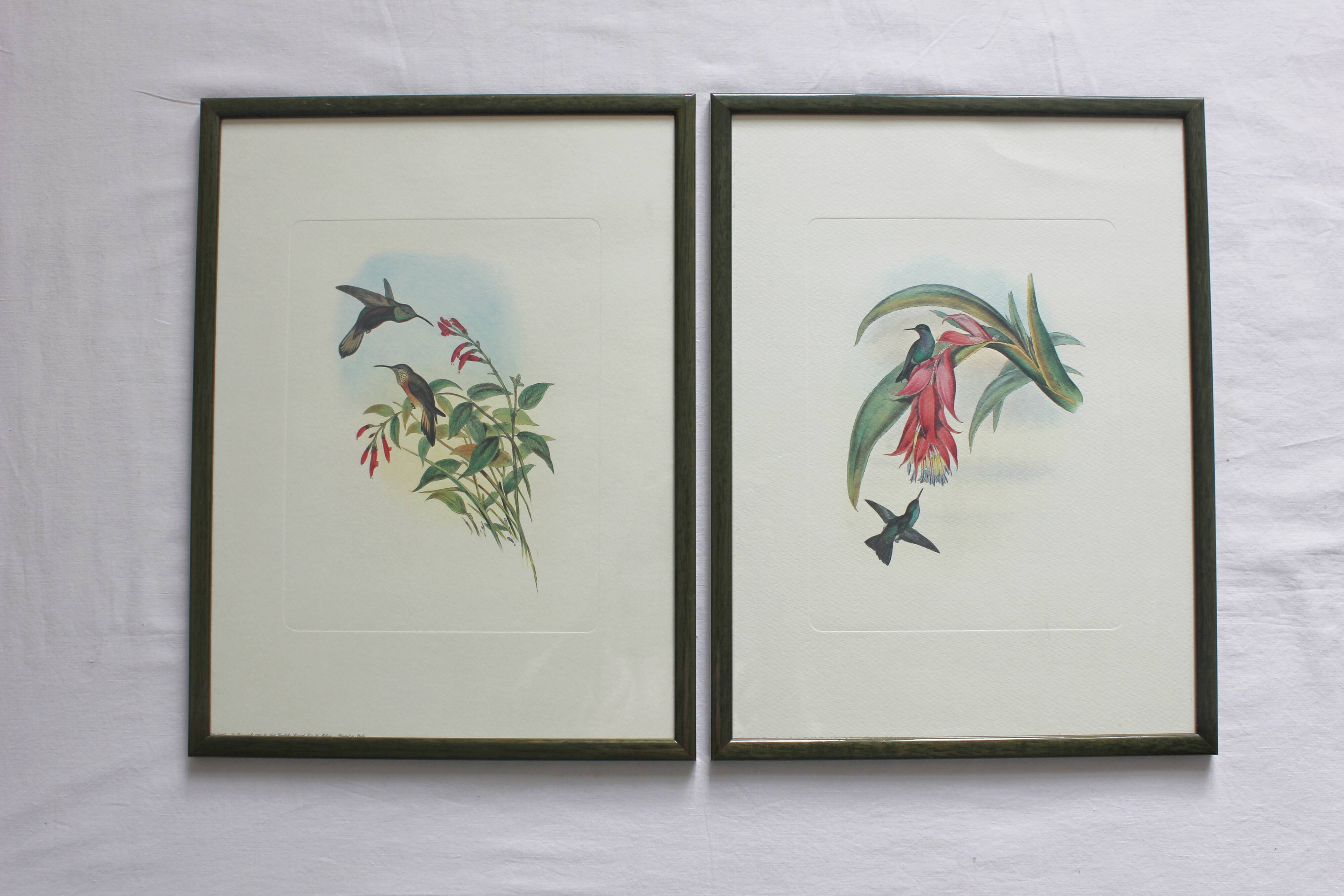 2 framed bird lithographs, vintage watercolor posters