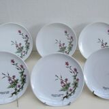 Assiettes à dessert porcelaine fine  de Bavière -botaniqu