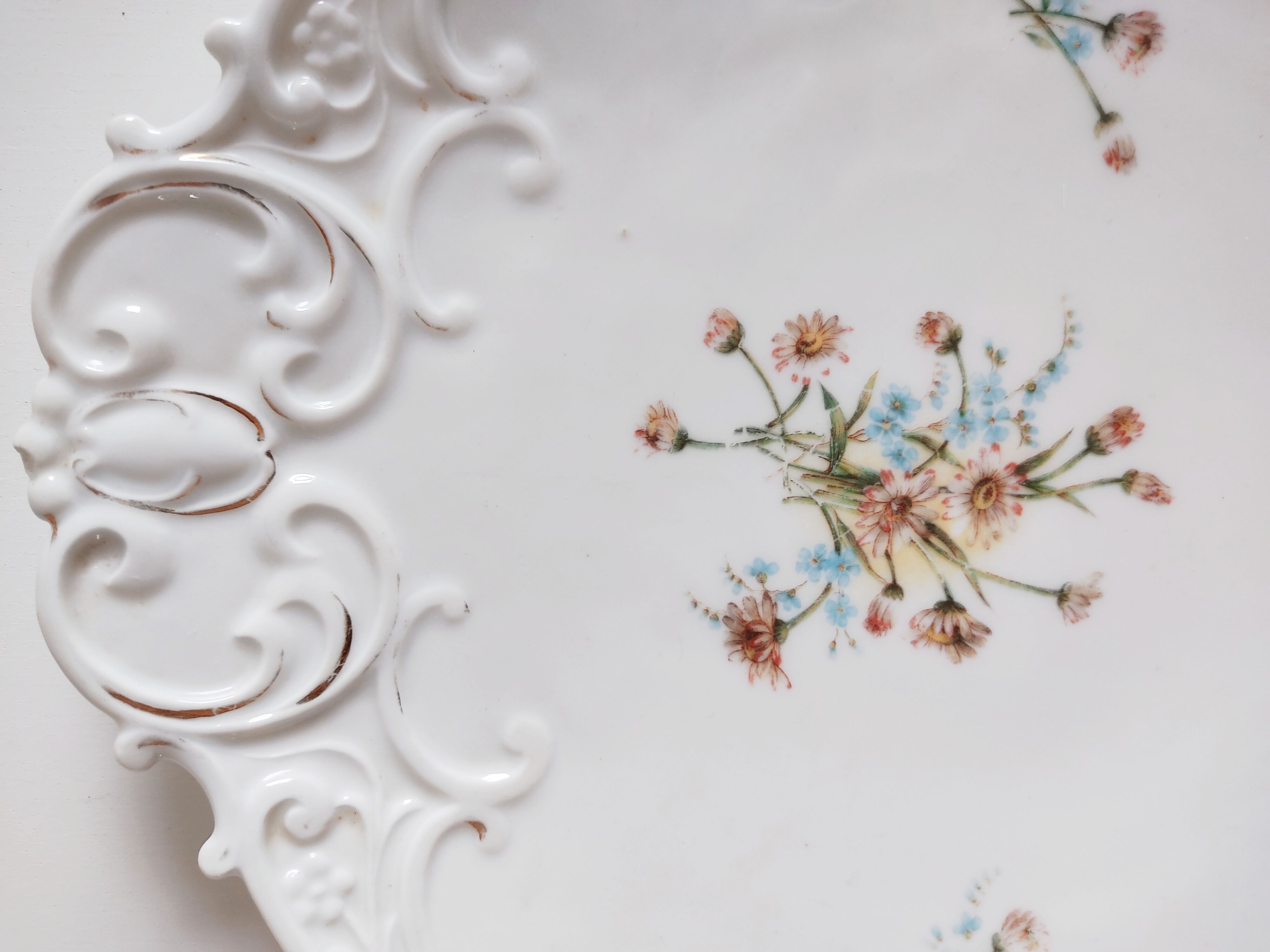 Porcelain shell-shaped dish