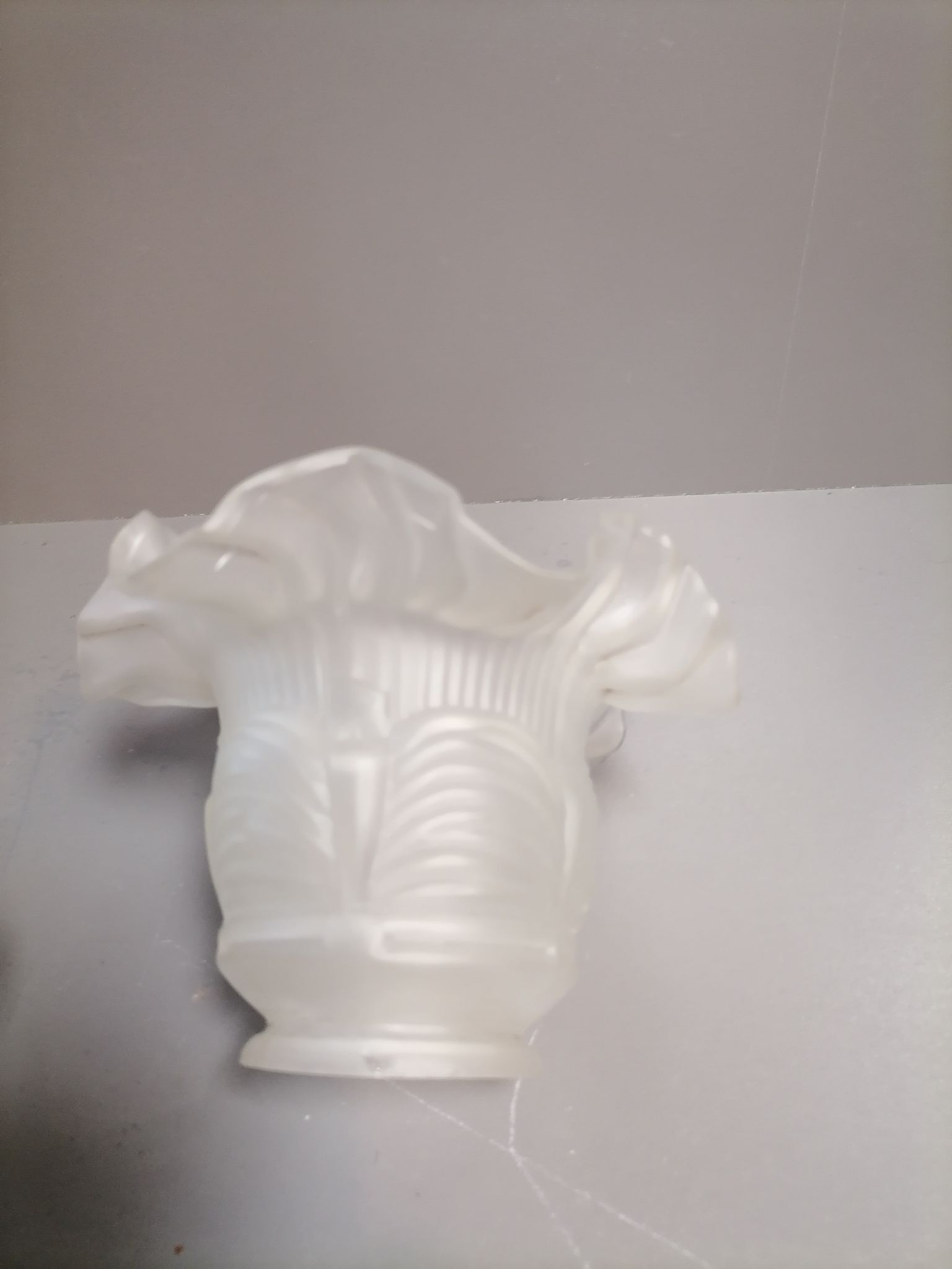 Tulip for Opaque Glass Chandelier