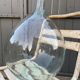 20-litre vintage lady-jeanne
