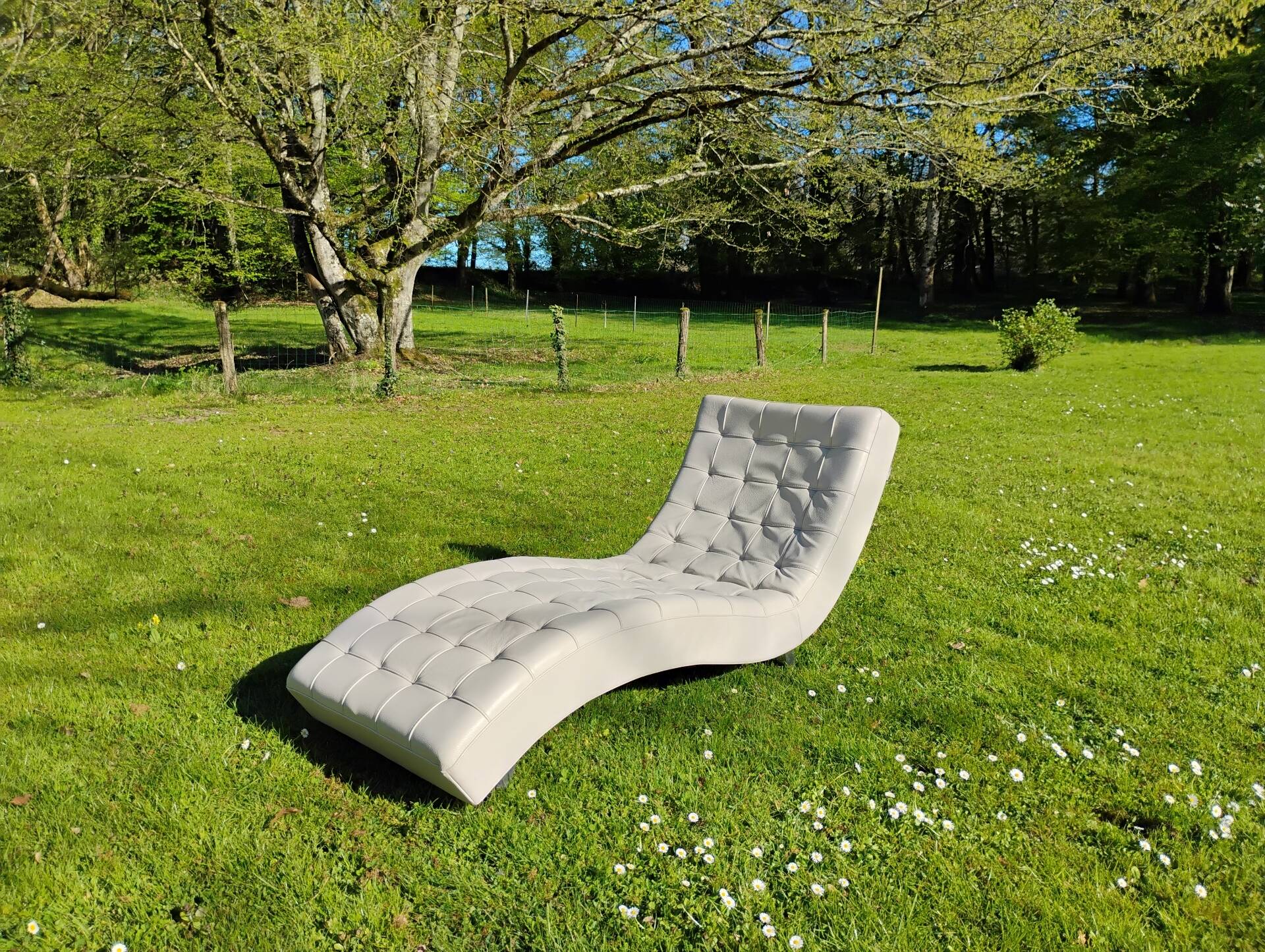 Roche Bobois Dolce armchair