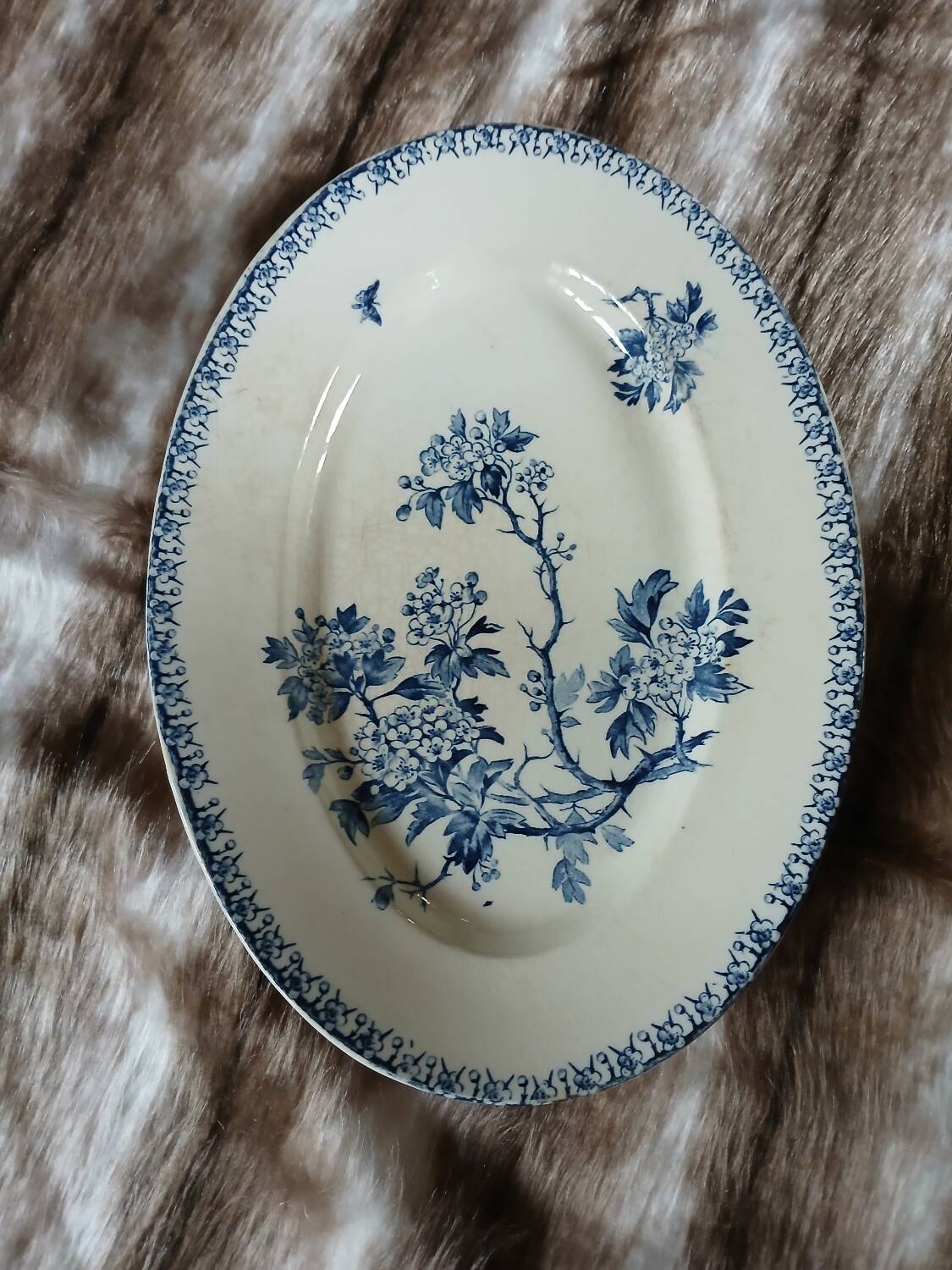 Old ironstone plate