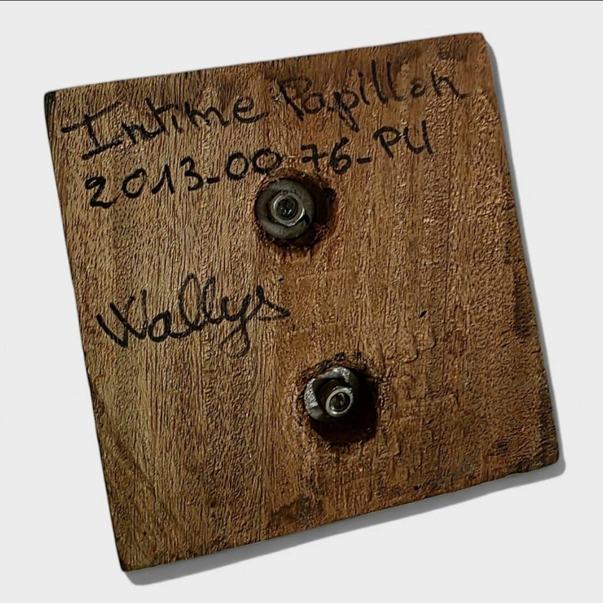 Sculpture bronze pièce unique « Intime Papillon » — Wallys (2013)