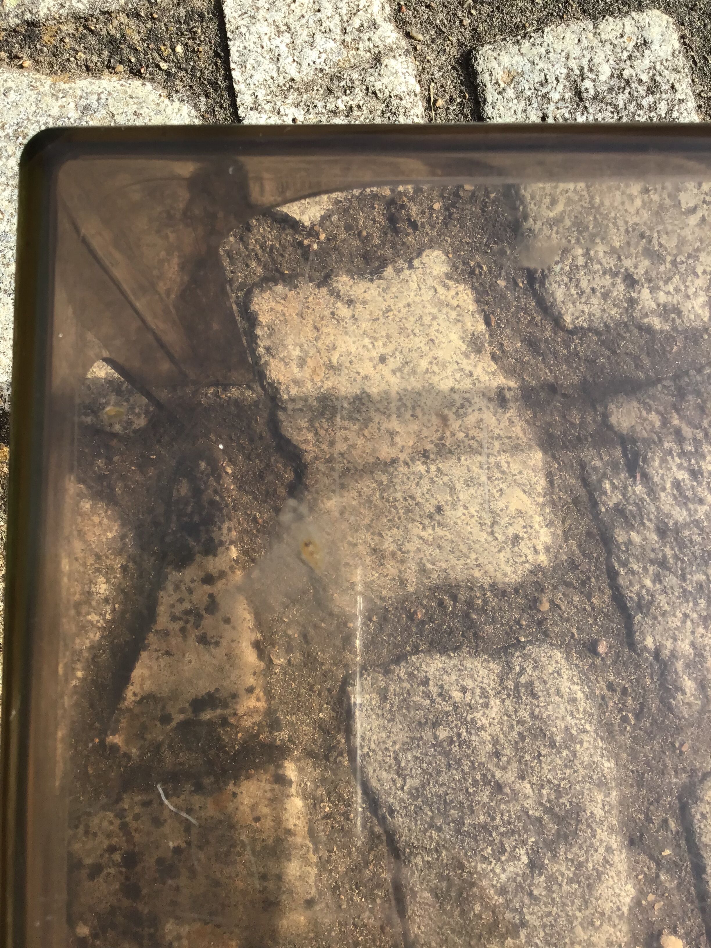 Plexiglas coffee table