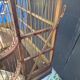 Birdcage