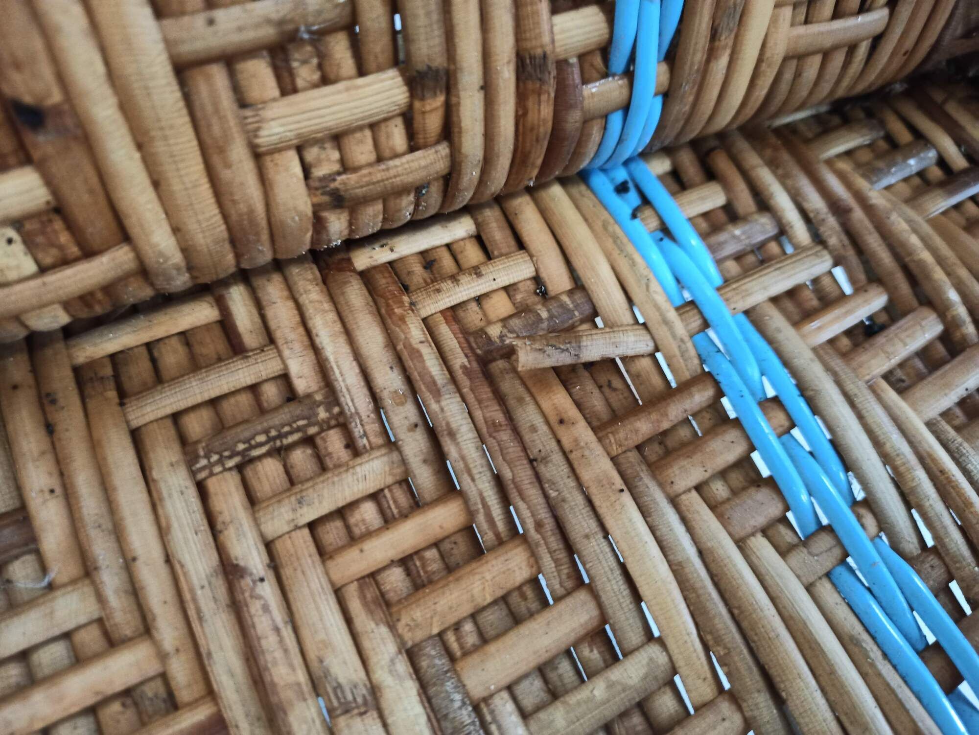 Armchair Sunbathing in wicker rattan wood lounger blue features