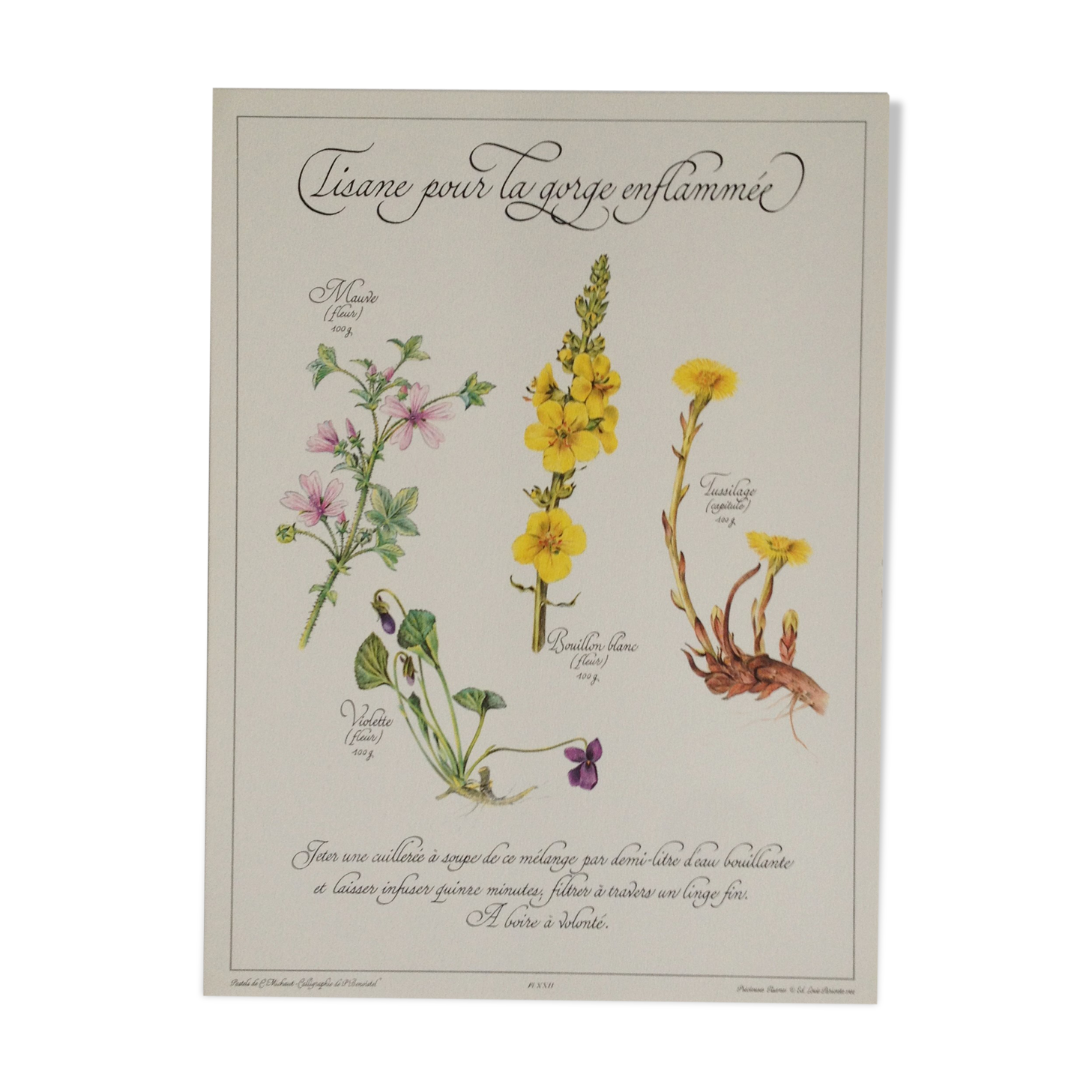 Botanical plate tisane