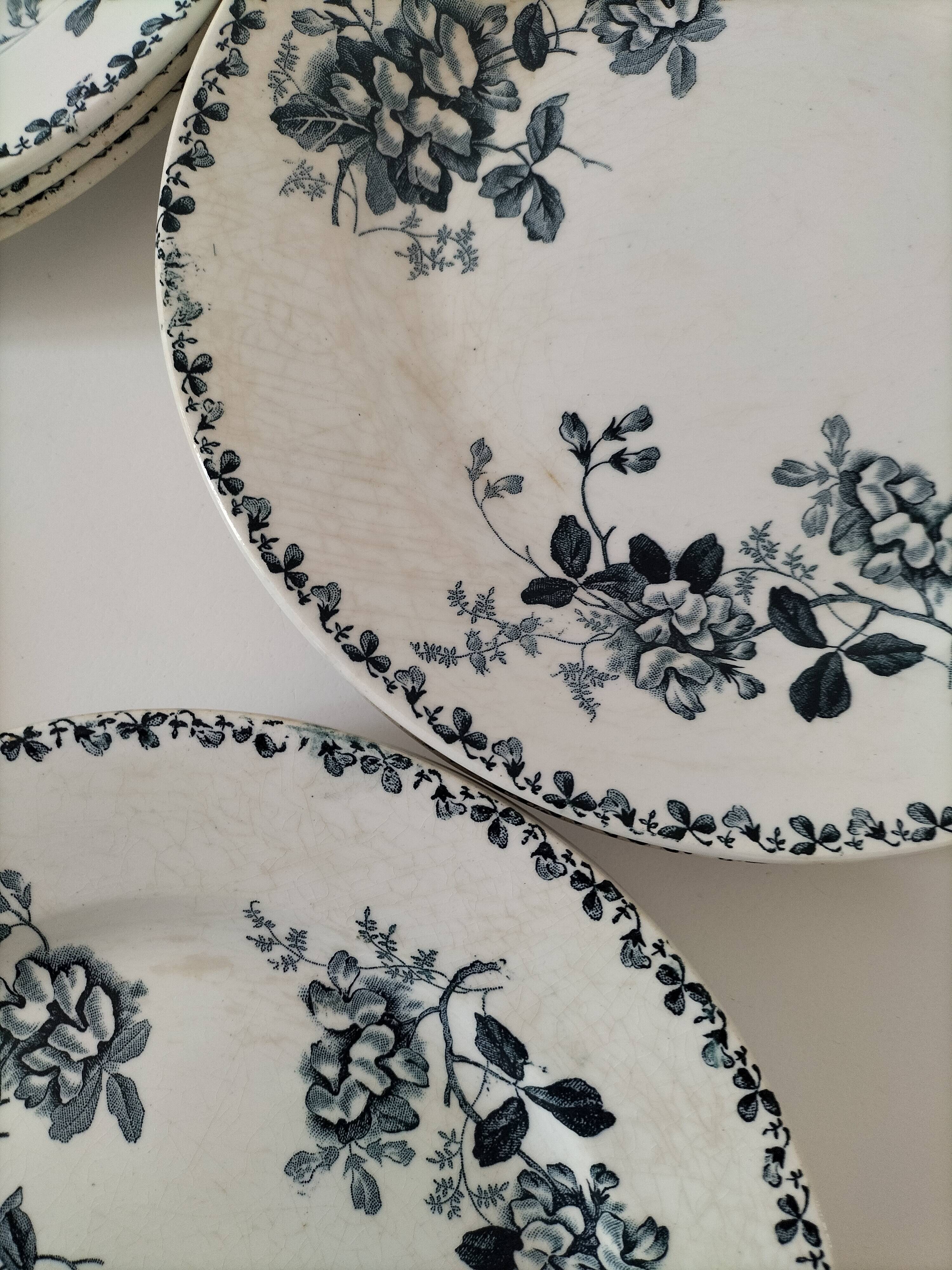 Set of 10 ironstone plates Moulin des Loups Acacia