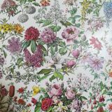 Lithograph on flowers from 1928 "rose bushes"