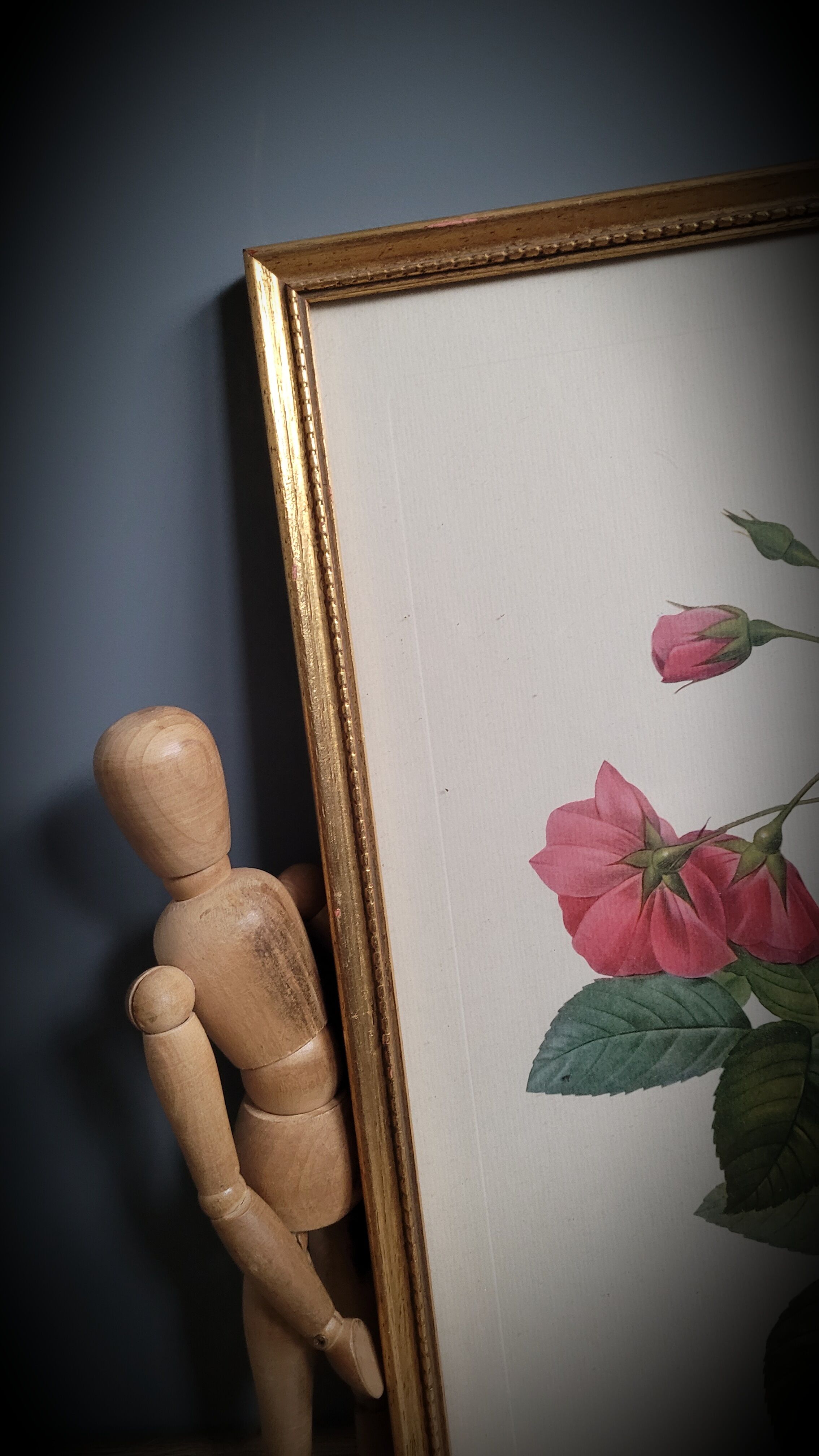 Lithograph frame rose semi double leaning buttons 43