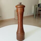 Pepper tree former brothers Peugeot Lion