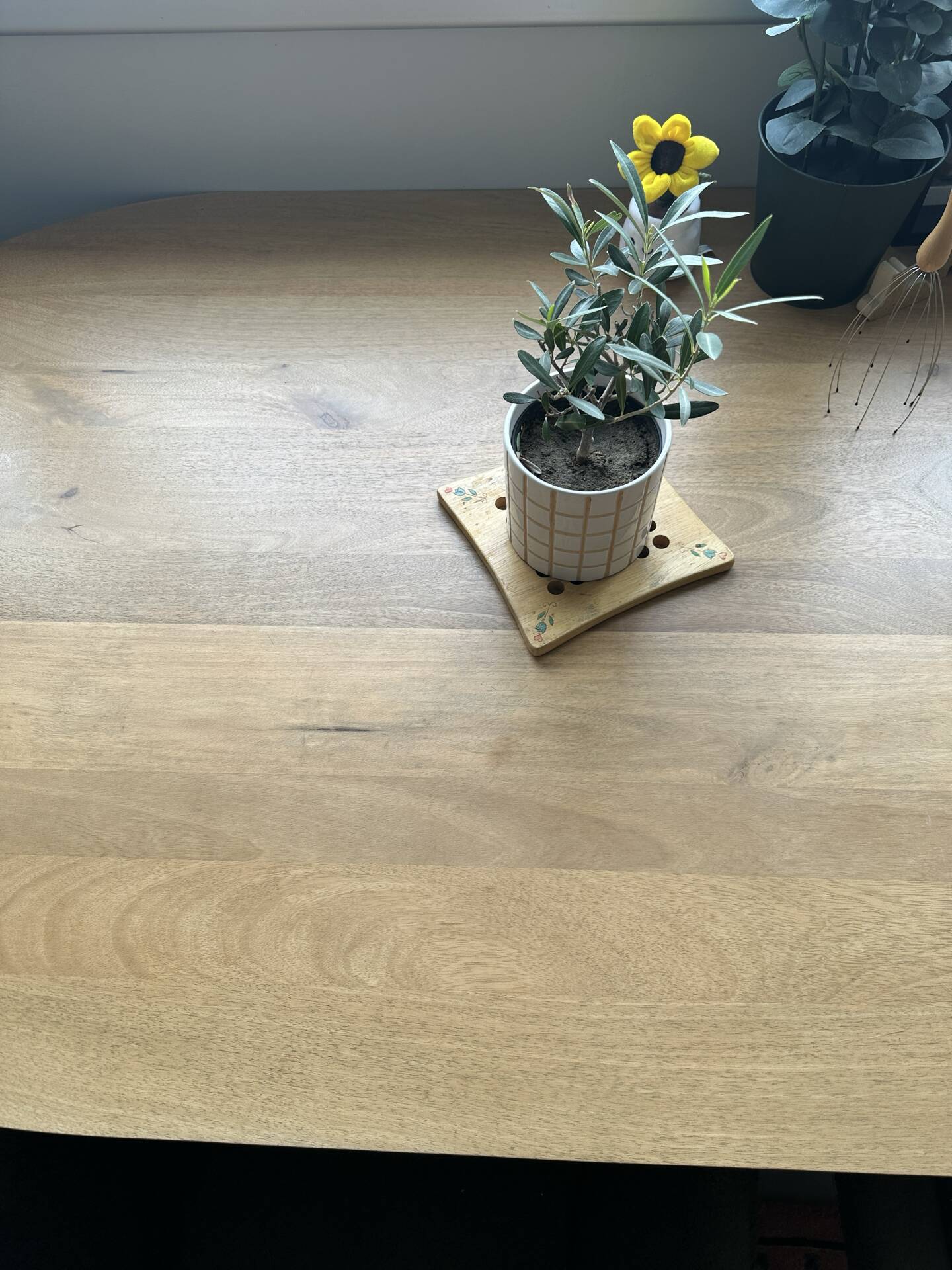 Oval dining table Vienna 200 x 100 mango wood