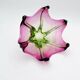 Murano Bowl - Sommerso - 29cm - 1960