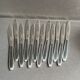 12 "Apollonox" fruit knives on silver metal support