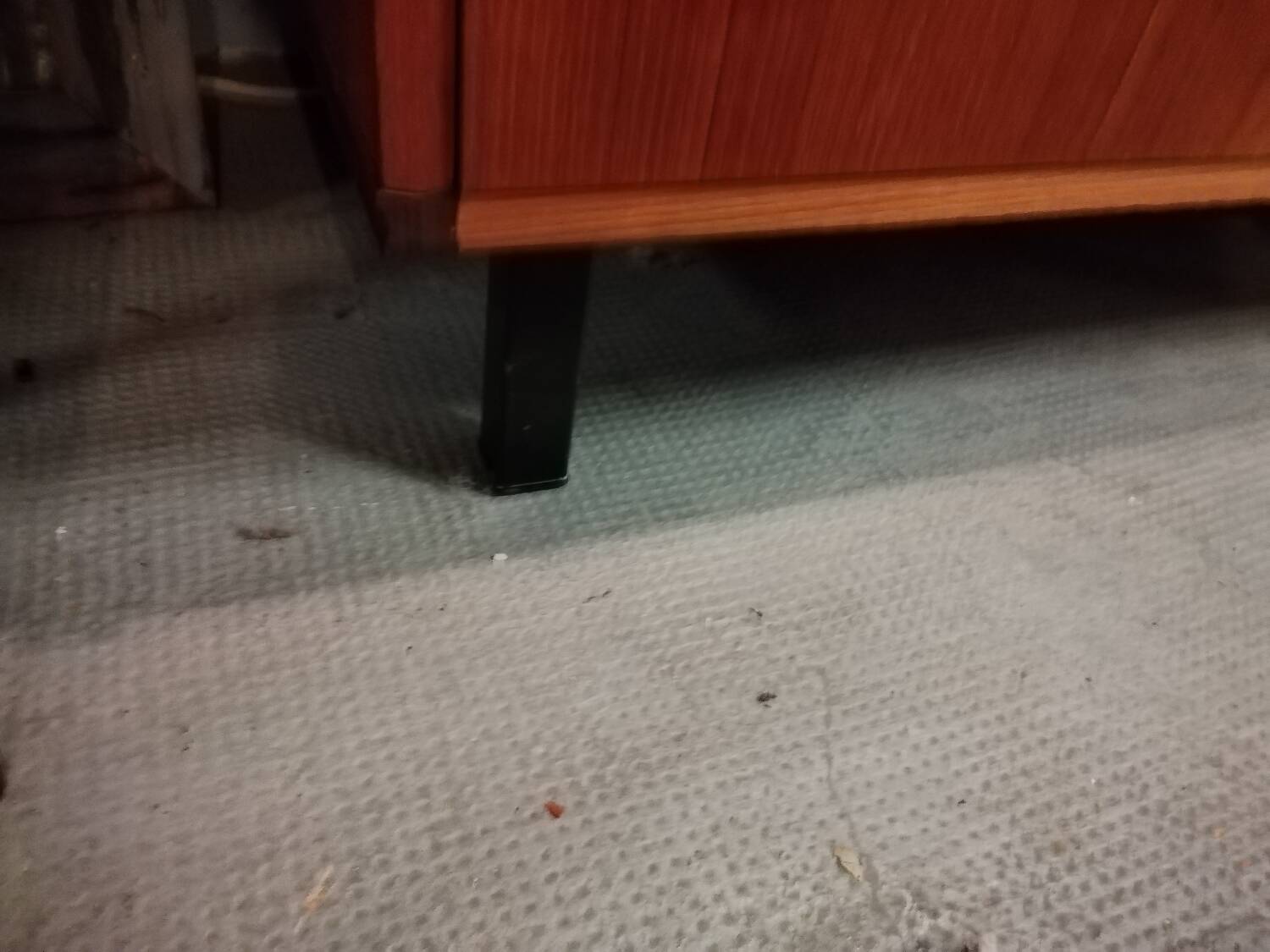 Cees Braakman secretary desk