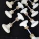 Set of 18 porcelain handles (B-0049-1)