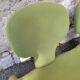 Olivier mourgue djinn armchair