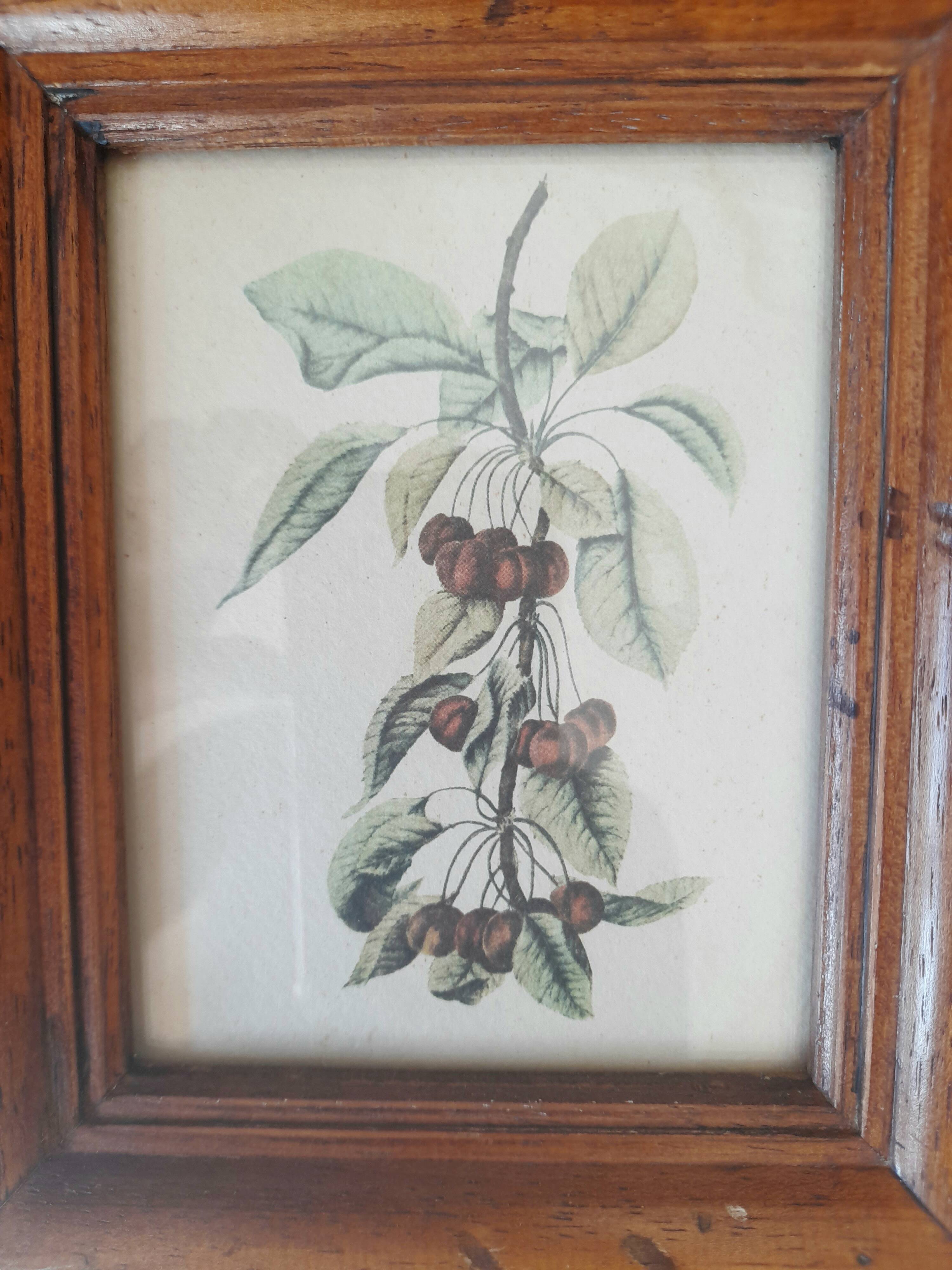 Set of 2 old frames with reproduction of fruits