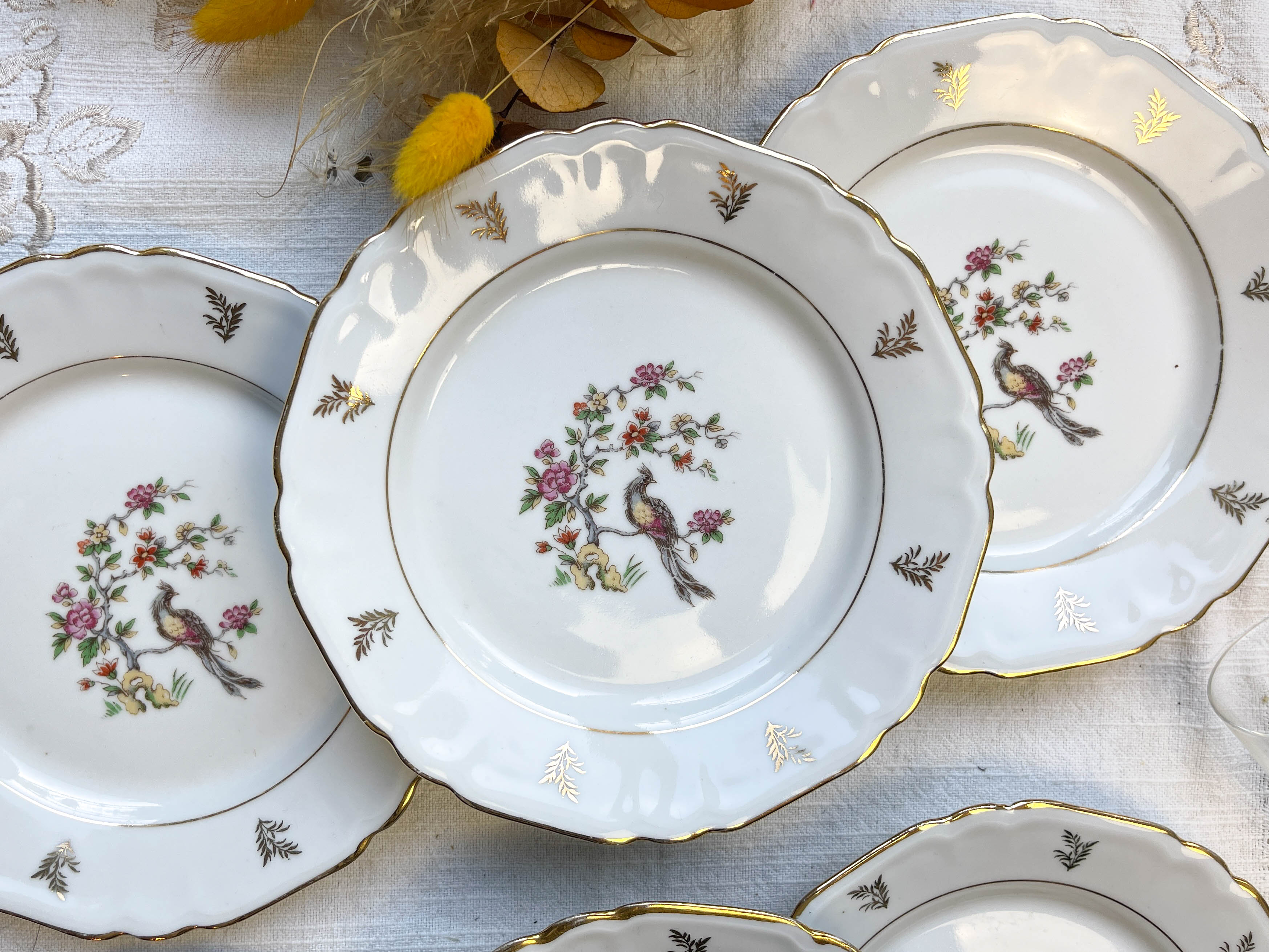 6 Limoges Berry porcelain plates with bird of paradise motif