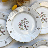 6 Limoges Berry porcelain plates with bird of paradise motif