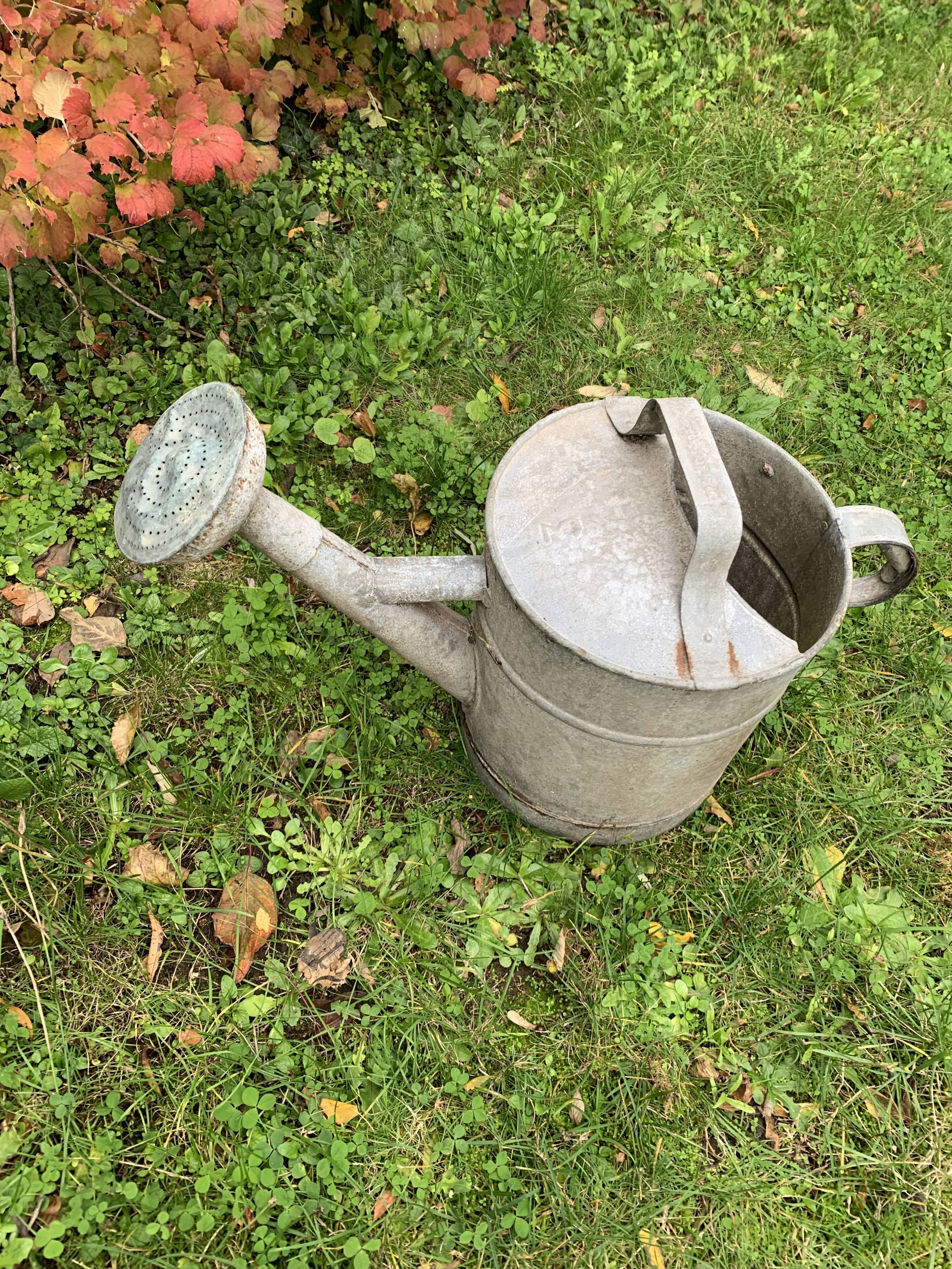 Zinc watering can