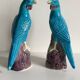 Pair of phenix birds chinese porcelain early 20th century