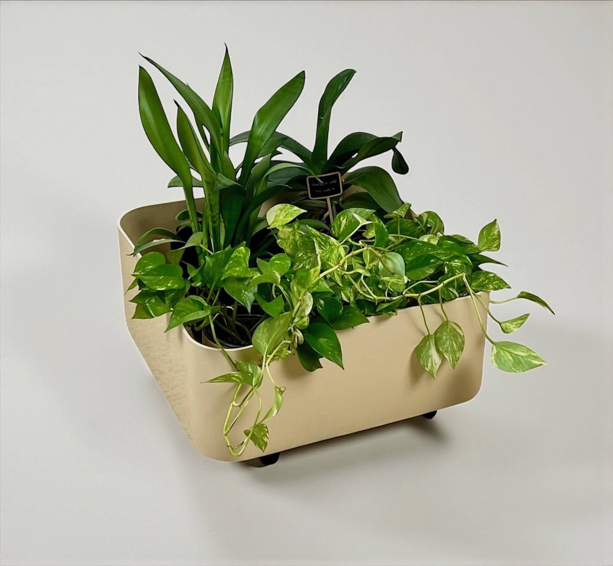 Vintage Kartell Planter 1960s by Anna Castelli Ferrieri