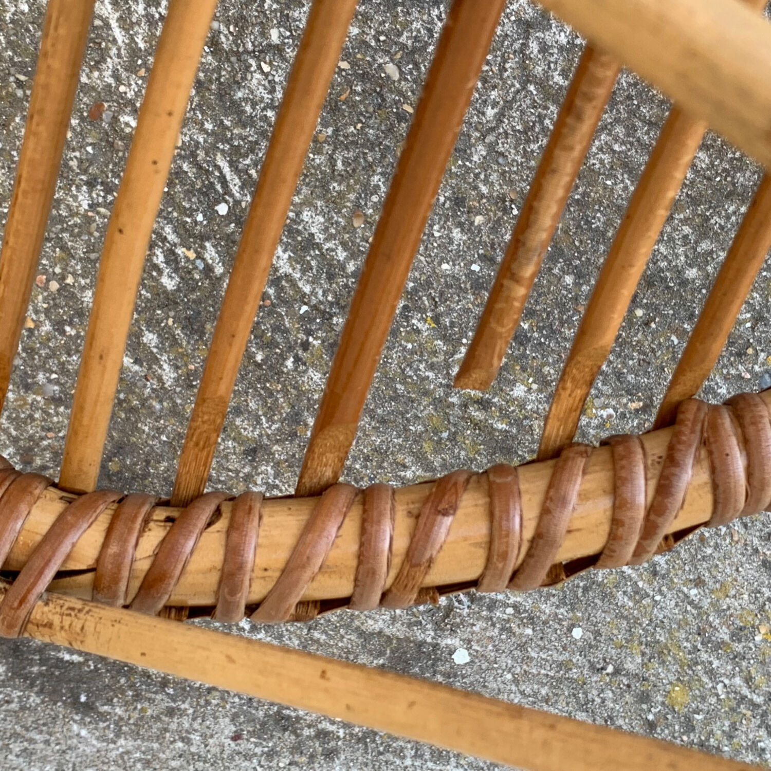 Pair of vintage shell armchairs 1950