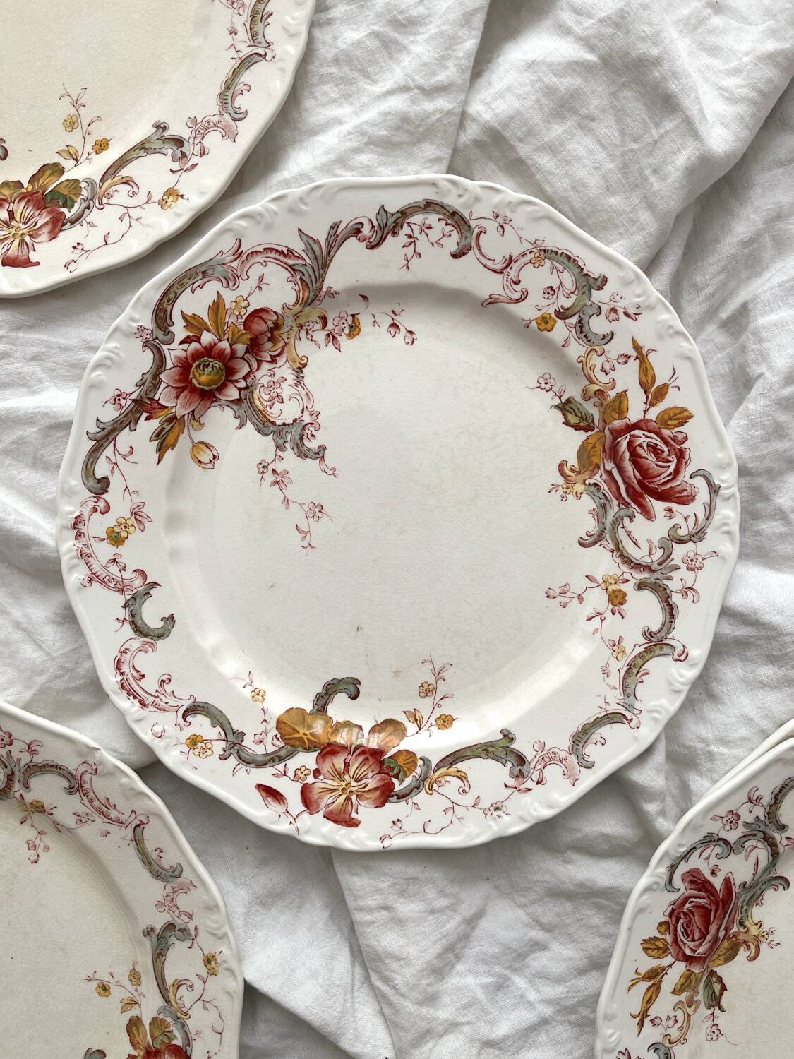 6 polychrome ironstone dinner plates "Wentworth" by Emile Bourgeois