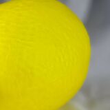 Lemon glass paste lampshade