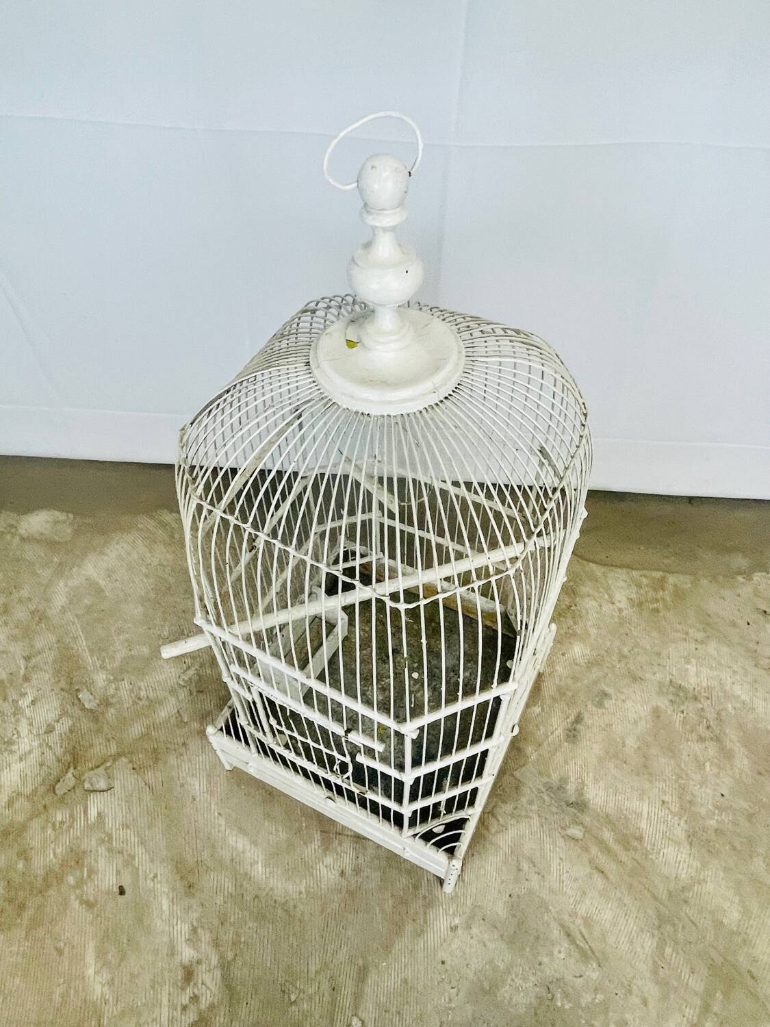 Bird cage