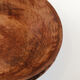 Raw wooden salad bowl