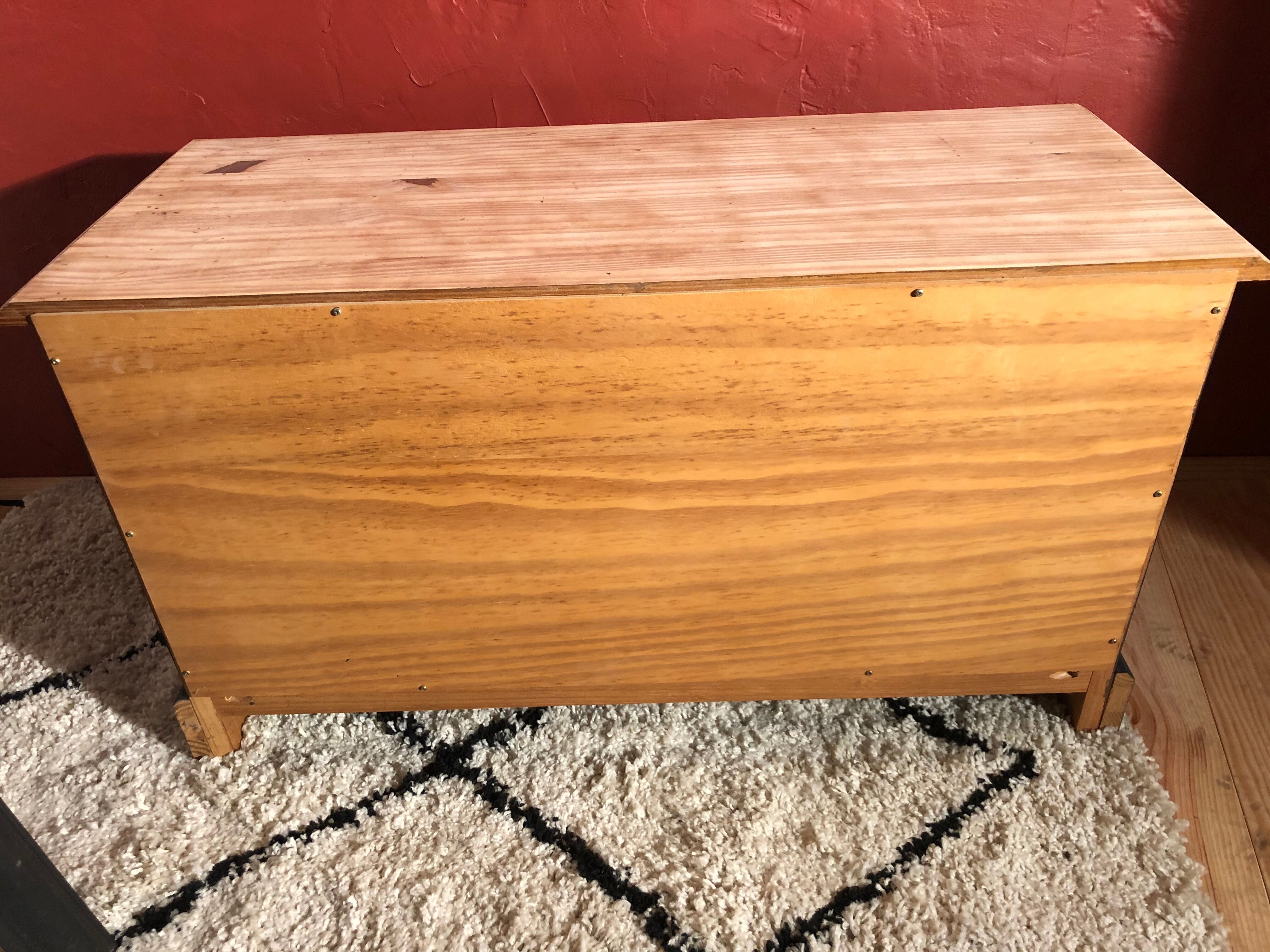 Professional style furniture, matt black raw wood chest of drawers