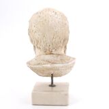 Plaster bust of a Greek man Socrates, 1970s