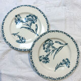 Duo dessert plates