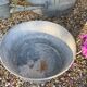 Bassine en zinc