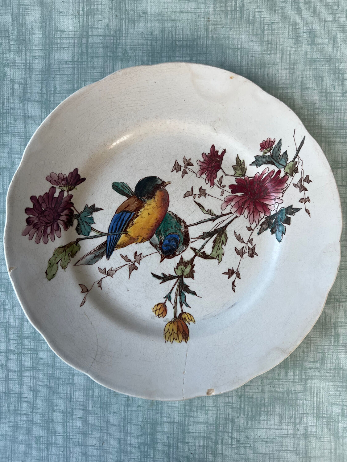 6 polychrome flat plates HB&Cie Choisy Le Roi