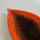 Ceramic plate Barbotine