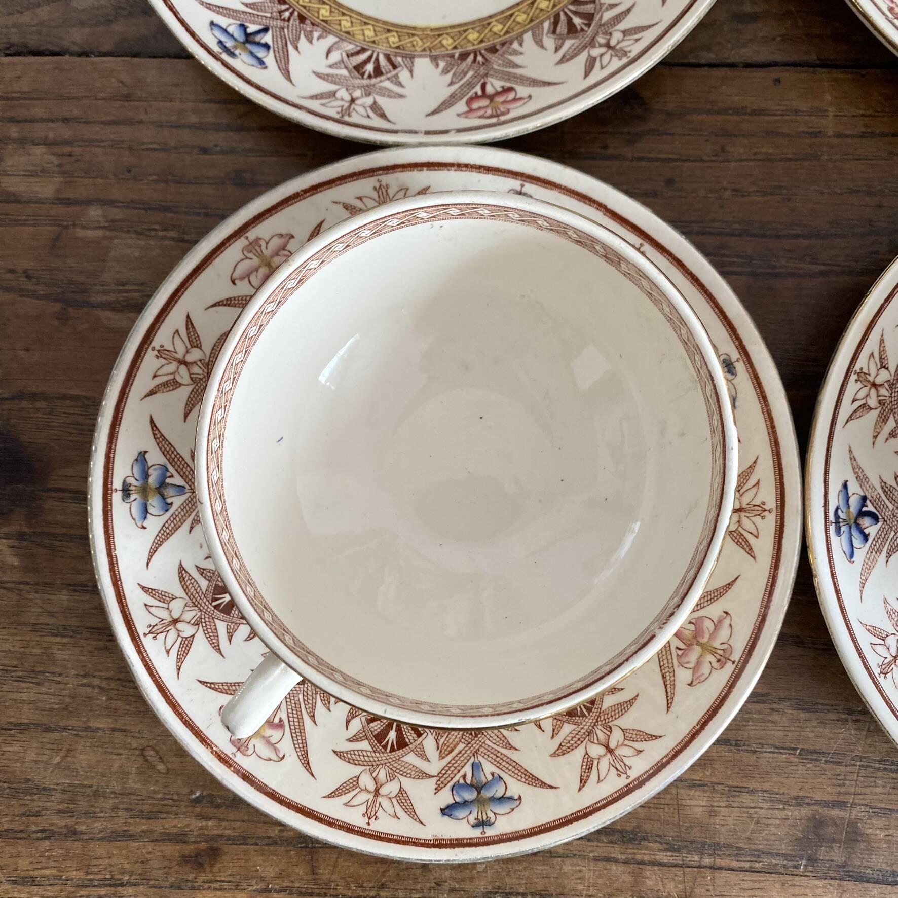 Tea cups and saucers in Sarreguemines ironstone "Derby"